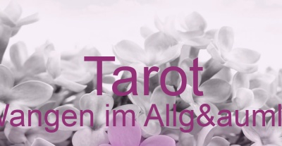 Tarot Wangen im Allgäu | Top-Experten für Kartenlegen, Wahrsagen, Hellsehen, Zukunftsdeutung. Tarot Wangen im Allgäu | Top-Experten für Kartenlegen, Wahrsagen, Hellsehen, Zukunftsdeutung.